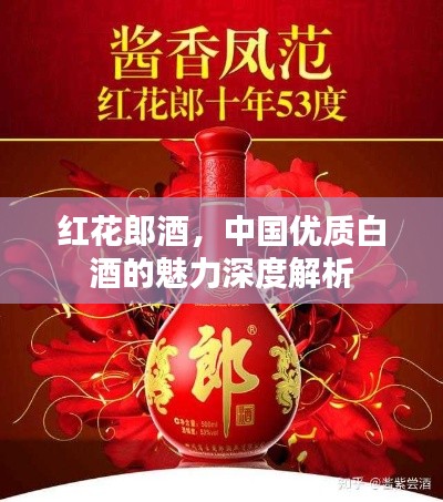 紅花郎酒，中國優(yōu)質(zhì)白酒的魅力深度解析