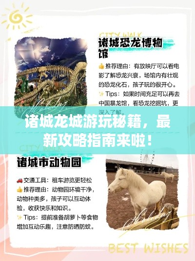 諸城龍城游玩秘籍，最新攻略指南來啦！