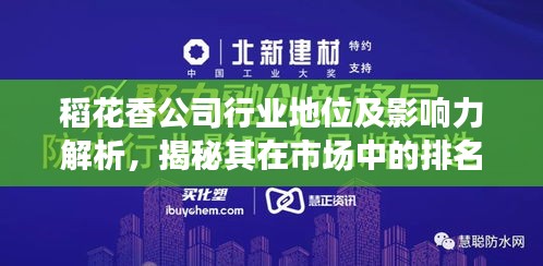 稻花香公司行業(yè)地位及影響力解析，揭秘其在市場中的排名！