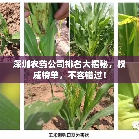 深圳農(nóng)藥公司排名大揭秘，權威榜單，不容錯過！
