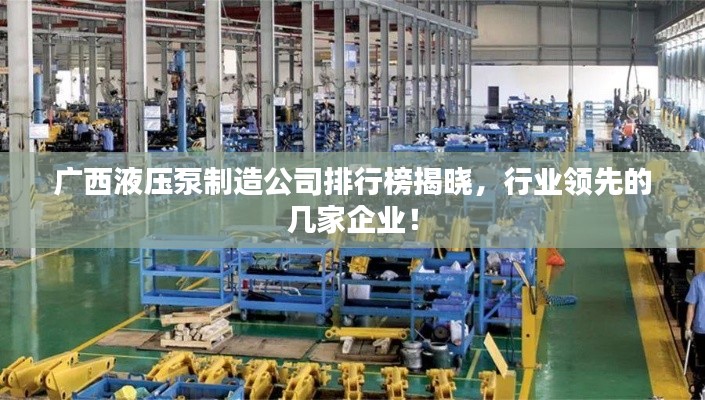 廣西液壓泵制造公司排行榜揭曉，行業(yè)領(lǐng)先的幾家企業(yè)！