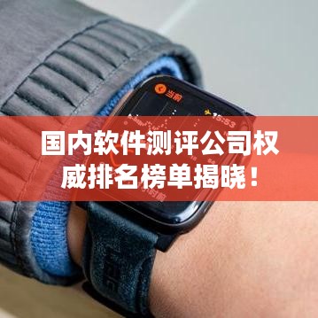 國內(nèi)軟件測評公司權(quán)威排名榜單揭曉！