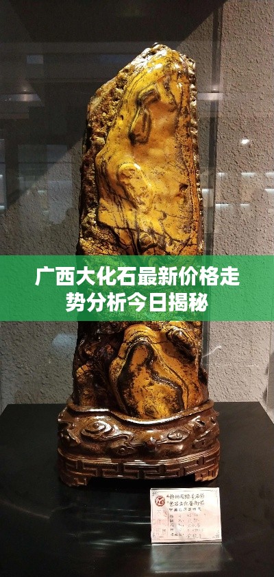 廣西大化石最新價格走勢分析今日揭秘