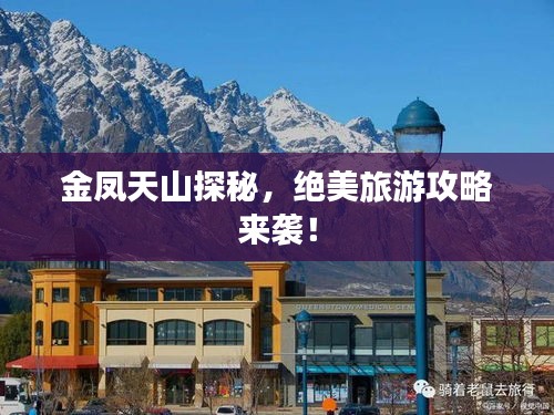 金鳳天山探秘，絕美旅游攻略來襲！