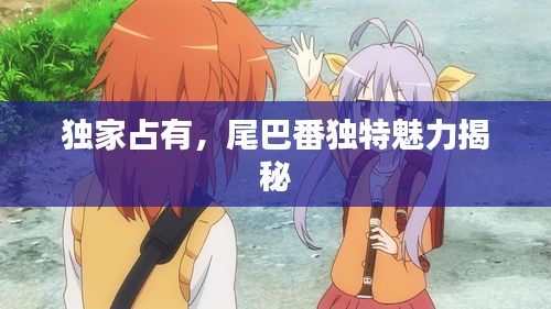 獨(dú)家占有，尾巴番獨(dú)特魅力揭秘