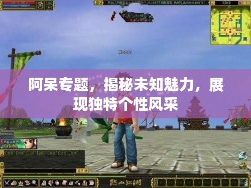 阿呆專題，揭秘未知魅力，展現(xiàn)獨特個性風(fēng)采
