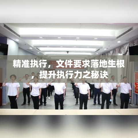 精準(zhǔn)執(zhí)行，文件要求落地生根，提升執(zhí)行力之秘訣