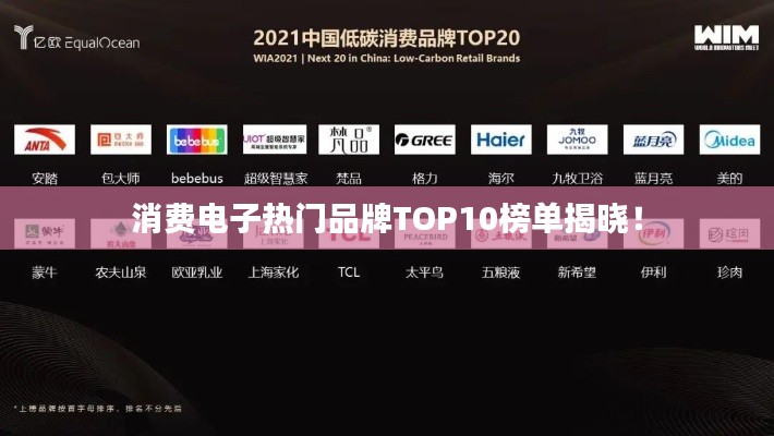 消費(fèi)電子熱門品牌TOP10榜單揭曉！