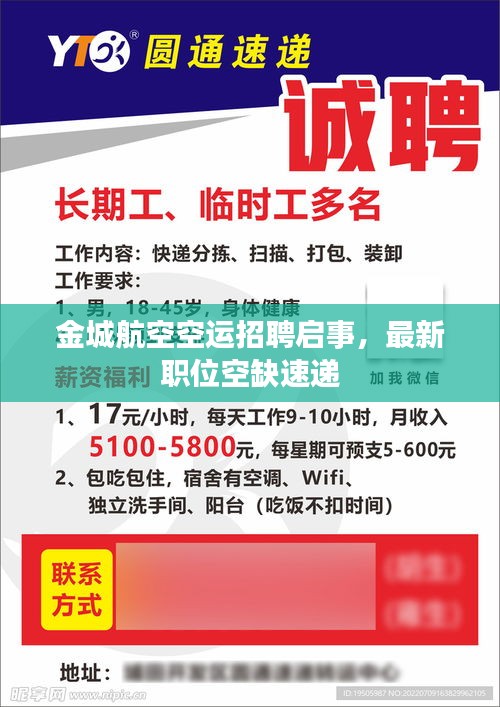 金城航空空運(yùn)招聘啟事，最新職位空缺速遞