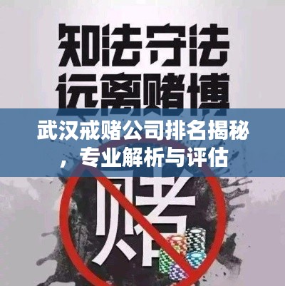 武漢戒賭公司排名揭秘，專業(yè)解析與評估