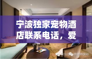 寧波獨家寵物酒店聯(lián)系電話，愛寵溫馨住宿首選！