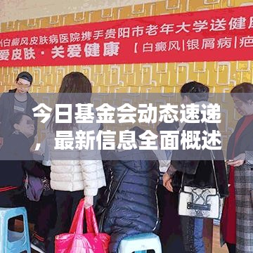 今日基金會(huì)動(dòng)態(tài)速遞，最新信息全面概述