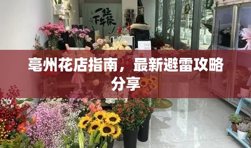 亳州花店指南，最新避雷攻略分享