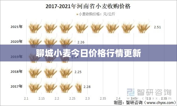 聊城小麥今日價格行情更新