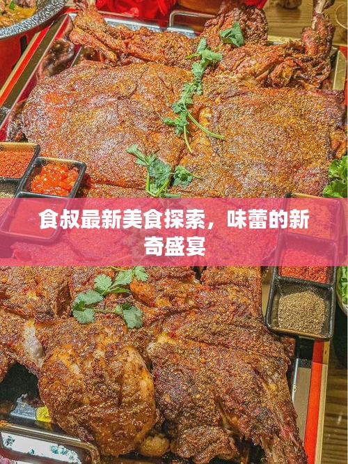 食叔最新美食探索，味蕾的新奇盛宴