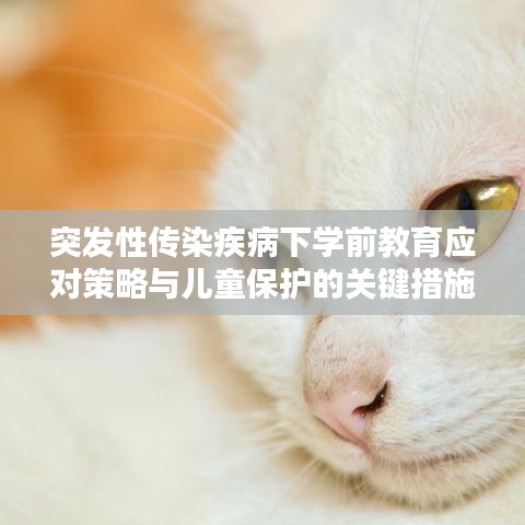 突發(fā)性傳染疾病下學(xué)前教育應(yīng)對(duì)策略與兒童保護(hù)的關(guān)鍵措施