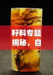 籽料專題揭秘，自然瑰寶的魅力之旅