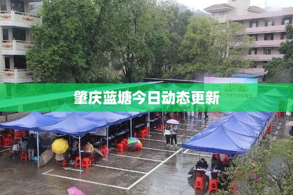 肇慶藍塘今日動態(tài)更新
