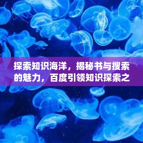 探索知識(shí)海洋，揭秘書與搜索的魅力，百度引領(lǐng)知識(shí)探索之旅