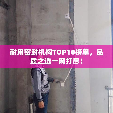 耐用密封機構(gòu)TOP10榜單，品質(zhì)之選一網(wǎng)打盡！