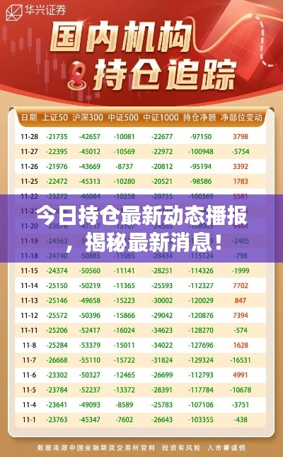 今日持倉(cāng)最新動(dòng)態(tài)播報(bào)，揭秘最新消息！