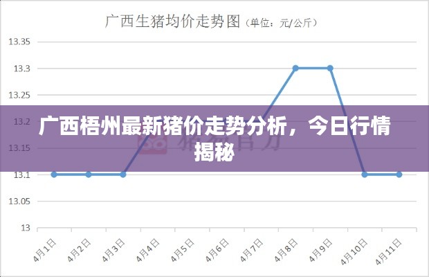 廣西梧州最新豬價走勢分析，今日行情揭秘