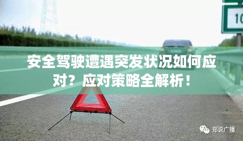 安全駕駛遭遇突發(fā)狀況如何應(yīng)對？應(yīng)對策略全解析！