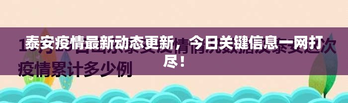 泰安疫情最新動(dòng)態(tài)更新，今日關(guān)鍵信息一網(wǎng)打盡！