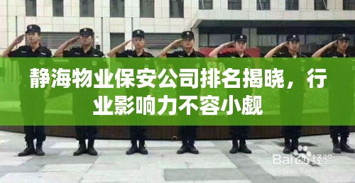 靜海物業(yè)保安公司排名揭曉，行業(yè)影響力不容小覷