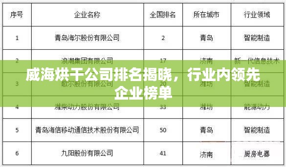 威海烘干公司排名揭曉，行業(yè)內(nèi)領(lǐng)先企業(yè)榜單