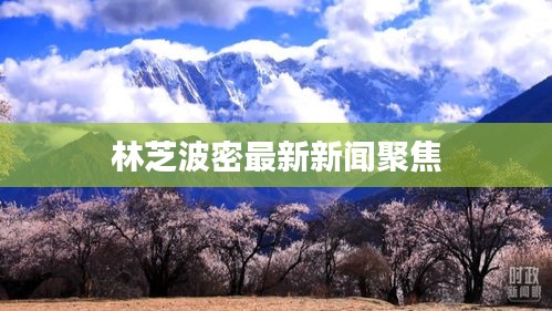 林芝波密最新新聞聚焦