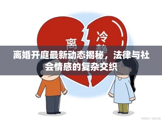 離婚開庭最新動態(tài)揭秘，法律與社會情感的復(fù)雜交織