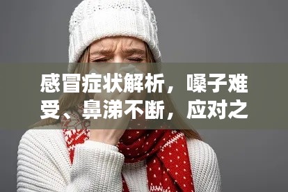 感冒癥狀解析，嗓子難受、鼻涕不斷，應(yīng)對之策全解析