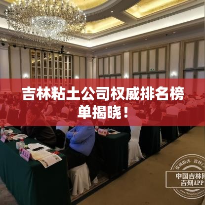 吉林粘土公司權(quán)威排名榜單揭曉！