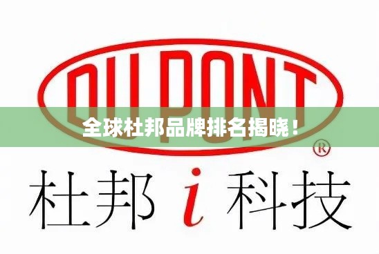 全球杜邦品牌排名揭曉！