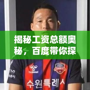 揭秘工資總額奧秘，百度帶你探索未知領(lǐng)域！