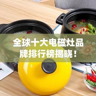 全球十大電磁灶品牌排行榜揭曉！