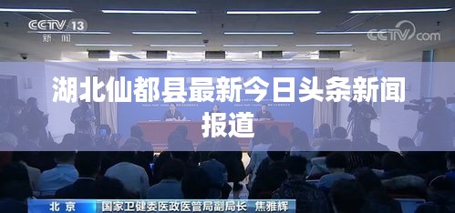 湖北仙都縣最新今日頭條新聞報(bào)道