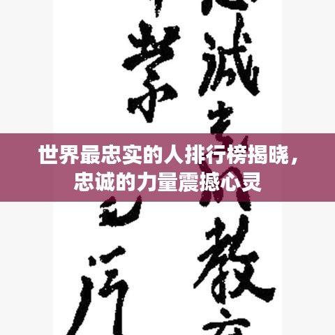 世界最忠實的人排行榜揭曉，忠誠的力量震撼心靈