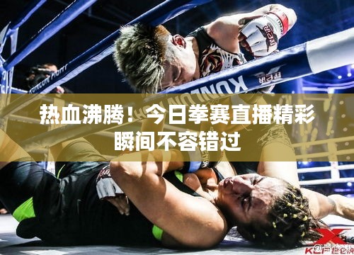 熱血沸騰！今日拳賽直播精彩瞬間不容錯(cuò)過