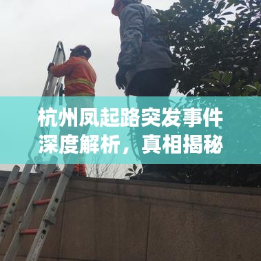 杭州鳳起路突發(fā)事件深度解析，真相揭秘與應(yīng)對(duì)之道