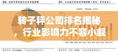 轉(zhuǎn)子秤公司排名揭秘，行業(yè)影響力不容小覷