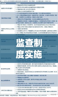 監(jiān)查制度實(shí)施深度解析，成效與挑戰(zhàn)并存