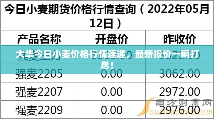 大華今日小麥價格行情速遞，最新報價一網(wǎng)打盡！