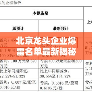 北京龍頭企業(yè)爆雷名單最新揭秘，風(fēng)險警示，投資者必看！
