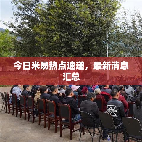 今日米易熱點(diǎn)速遞，最新消息匯總