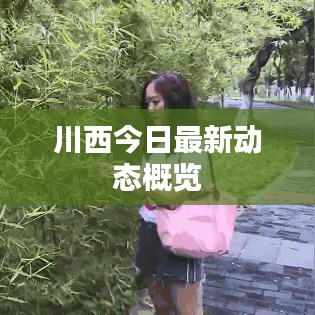 川西今日最新動(dòng)態(tài)概覽