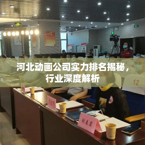河北動畫公司實力排名揭秘，行業(yè)深度解析