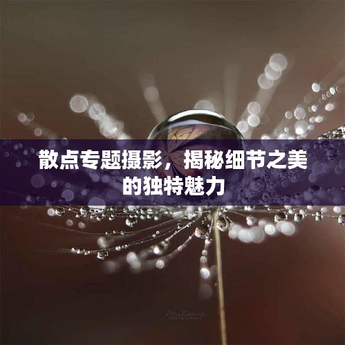 散點(diǎn)專題攝影，揭秘細(xì)節(jié)之美的獨(dú)特魅力