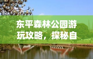 東平森林公園游玩攻略，探秘自然之美，盡享綠意盛宴！